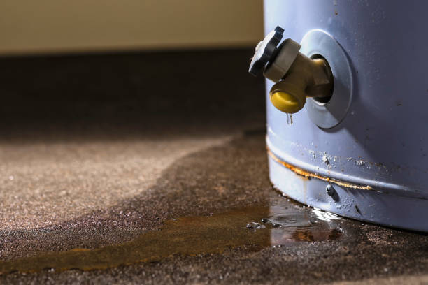 Best Water damage restoration near me  in Point Mackenzie, AK