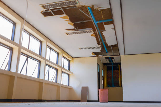 Best 24-hour water damage restoration  in Point Mackenzie, AK