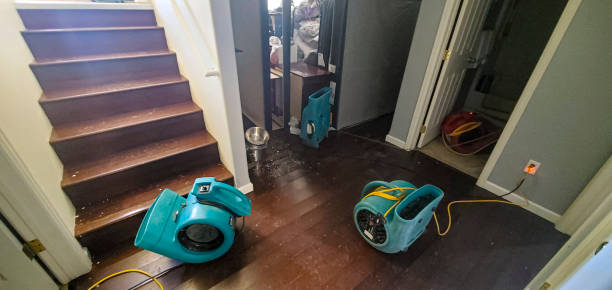 Best Carpet water damage restoration  in Point Mackenzie, AK