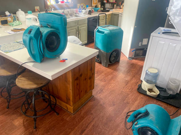 Best Emergency water damage restoration  in Point Mackenzie, AK