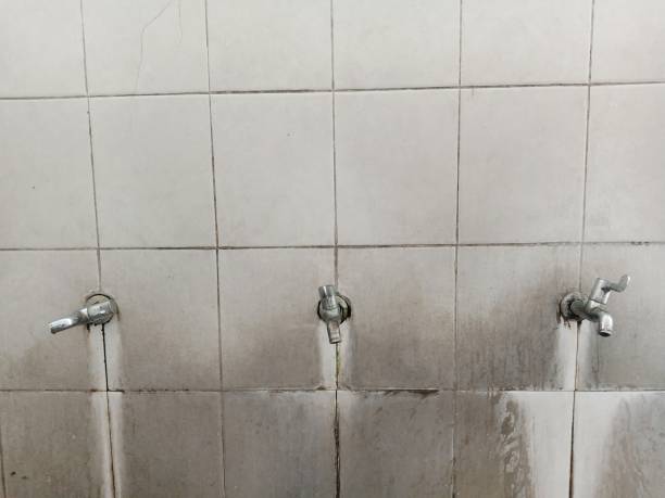 Carpet water damage restoration in Point Mackenzie, AK