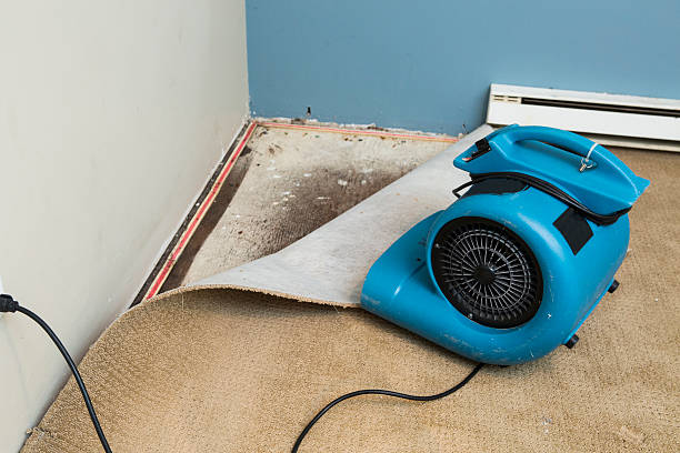 Best Ceiling water damage repair  in Point Mackenzie, AK