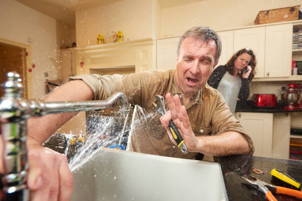  Point Mackenzie, AK Water damage restoration Pros
